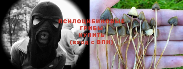 гашик Заволжье