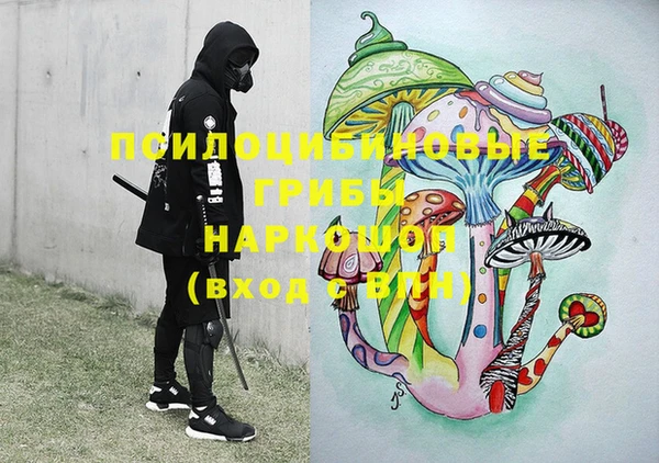 марки nbome Заводоуковск